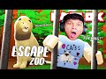 OOHAMI TERPERANGKAP🐯 DEKAT ZOO NEGARA!! - Roblox: Escape The Zoo Obby | Malaysia