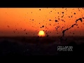 Cellar 55 - Por Do Sol (Official Music Video)