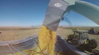 360º Farm Tour: Harvesting the Corn | #360Corn