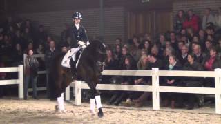 Ferdeaux kwpn : Bordeaux X Ferro - Stallion Show Van Uytert 2014