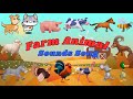 Farm Animal Sounds Song | Animal Sounds Song | Cat | Dog | Duck | Sheep