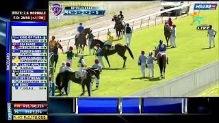 Hippisme :  Suivez en LIVE le déroulement de la troisième course