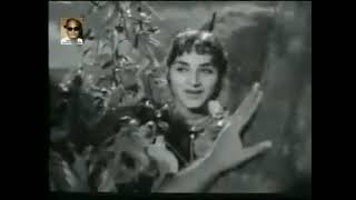 Asan Kitiye Tere Naal Thoo Do Lachhian Punjabi 1959 Mohammed Rafi Lata Hansraj Behl