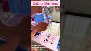 Como utilizar corretamente o Coletor Menstrual