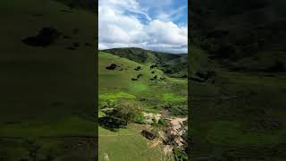 Fazenda 212 hectares em Chã Preta. Tratar: Imóveis Nordeste Rurais whatsapp 82 994224000