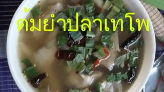 ร้านอาหาร ครัวร่มไทร โพธิ์ทอง