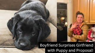 #shorts  - Boyfriend Surprises Girlfriend with Puppy and Proposal!