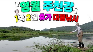 1박2일 영월 주천강 대물낚시- 오늘만은 나도 대물낚시꾼, 붕어낚시,  crucian carp fishing