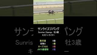 【競馬】日本ダービー2024出走馬と競争成績 #Shorts #競馬 #日本ダービー #東京優駿 #日本ダービー2024 #東京優駿2024