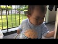 ベランダ掃除を頑張りますチビかめツインズかわいいふたごの男の子の赤ちゃん動画日記