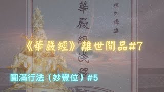 【華嚴經】離世間品妙覺行法#5