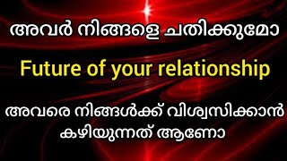 അവർ നിങ്ങളെ ചതിച്ചിട്ടു പോകുമോ✡️future of your relationship ❤️