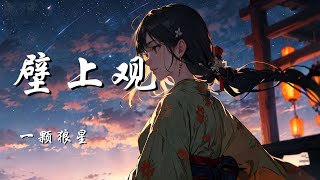 壁上观 - 一颗狼星 (原唱：一颗小葱、张曦匀)【一刹那栩栩缕影浮光映宫阙 错问今夕是何年】【动态歌词 Lyrics】【拼音歌词】【抖音歌曲】