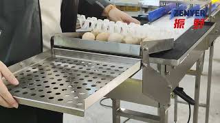 Zenyer manual 30-egg tray loader manual tray loading device