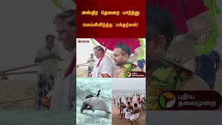 அஸ்திர தேவரை பார்த்து மெய்சிலிர்த்த பக்தர்கள்! #thiruchendur #murugan | #thiruchendurmurugan #shorts