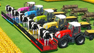 HARVEST, LOAD AND TRANSPORT CORN \u0026 COWS WITH RIGITRAC TRACTORS - Farming Simulator 22