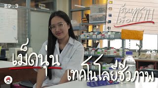 เรียนเพื่อทราบEP.3 ขึ้นฉ่ายไม่ได้ง่ายอย่างที่คิด | วิทยาศาสตร์ ม.บูรพา