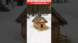 Small House Made Of Wood🤯😱||#ytshorts #shortfeed #youtubeshorts