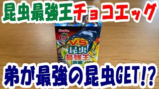 チョコエッグ『VS昆虫最強王図鑑 』の開封に弟が挑戦！何の昆虫がでるかな？