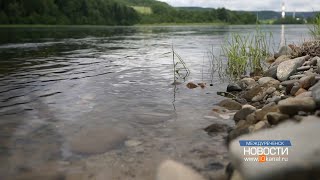 В юбилейный для региона год в реки Кузбасса выпустят 230 тысяч мальков рыб