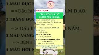 Cùng nhau chia sẻ bí quyết hạnh phúc thăng hoa #zin#zingroup#zinnmn#phukhoazinzalo 0907871048