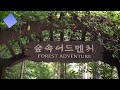 4k 장태산 자연휴양림 대전 힐링여행 jangtae mountain natural recreational forests in korea