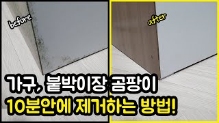 가구와 붙박이장에 생긴 곰팡이를 10분안에 제거하는방법은?!