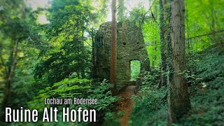 Die Ruine Alt Hofen: Ein Rundgang durch die Geschichte 🏰 | Lochau am Bodensee