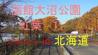 車中泊車DIY【北海道函館大沼公園の紅葉】①　北海道駒ヶ岳は、北海道森町、鹿部町、七飯町にまたがる標高1,131 mの活火山で、渡島国・渡島半島のシンボル的存在となっています。