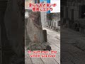 【心霊】◯体放置の地獄絵図！？小塚原刑場跡地 shorts crime japan