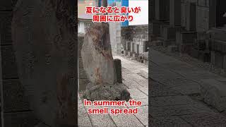 【心霊】◯体放置の地獄絵図！？小塚原刑場跡地 #shorts #crime #japan