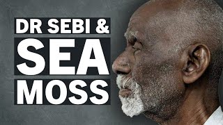 Sea Moss & Dr Sebi - What's That About?