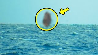 Sailors Spot Something ODD In Front Of Their Ship. Looking Closer, They Scream In Horror!