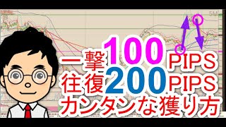 【一撃100PIPS往復200PIPSのカンタンな獲り方】ポンド円FXチャート分析（2020.02.05）