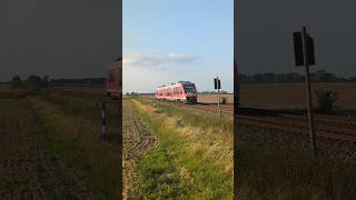 BR648 Lint 41 DB nach Schöppenstedt vor Wolfenbüttel