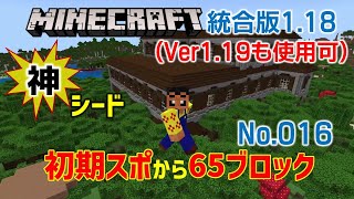 【マイクラ1.18ー1.19】さらに初期スポすぐの２つの要塞村！そして要塞村からネザーに行くと神だった！【神シード 016】(ならクラ,統合版 1.18.2)