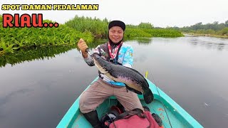 LUAR BIASA! AKHIRNYA BISA MASUK KE SPOT SUNGAI GAUNG PEDALAMAN INHIL || AMAZONNYA PEDALAMAN RIAU...