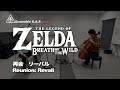 ゼルダの伝説 ブレス オブ ザ ワイルド   再会 リーバル / The Legend of Zelda: Breath of the Wild   Reunion: Revali