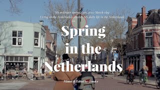 Life in the Netherlands vlog / Getting myself out of a slump, spring is finally here! HBO, movies🍿