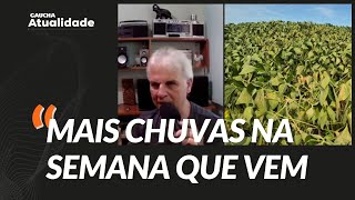 ESTIAGEM NO CAMPO: Vai Chover? Cléo Kuhn apresenta PREVISÃO DO TEMPO para o agro no RS | Atualidade