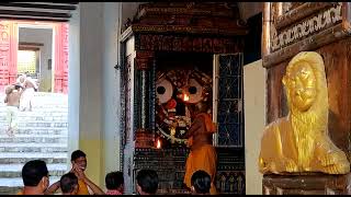 Singhdawar Opening Ritual \u0026 Mangala Alati Darshan of Patitapaban || Jalakrida Ekadashi