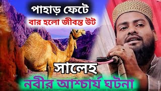 পাহাড় ফেটে বেরিয়ে আসলো উট || হজরত সালেহ আঃ এর আশ্চার্য কারিশমা || ফারিকুল ইসলাম ওয়াজ || Bangla Waz