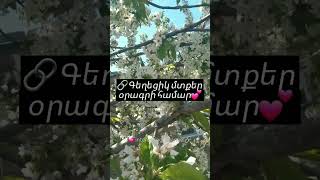 💗Գեղեցիկ մտքեր օրագրի համար✨️