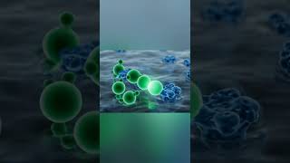 How Antihistamines Work – 3D Explained
