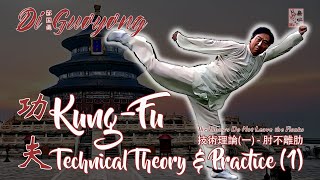 Kung-Fu - Di Guoyong - Technical Theory \u0026 Practice (1)