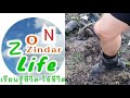 ปลูกมะม่วง เขียวเสวย ครูซอน โค้ชซอน ซินดาร์ zon zindar life เรียนรู้ชีวิต ใช้ชีวิต