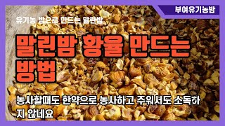 말린밤 황율 유기농 부여밤으로 만드는 방법