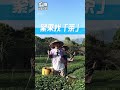 許富凱茶園演唱會🎶 聽現場耳朵懷孕☺️｜瓜田冠軍的誕生｜ shorts