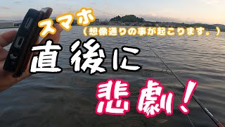 【デイシーバス？】真夏のとある日円盤二発！強烈な引きにご注意ください。