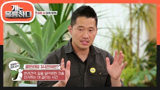 반려견 실종 시 대처 방법! Tip 大공개☆ [개는 훌륭하다/Dogs Are Incredible] | KBS 210517 방송